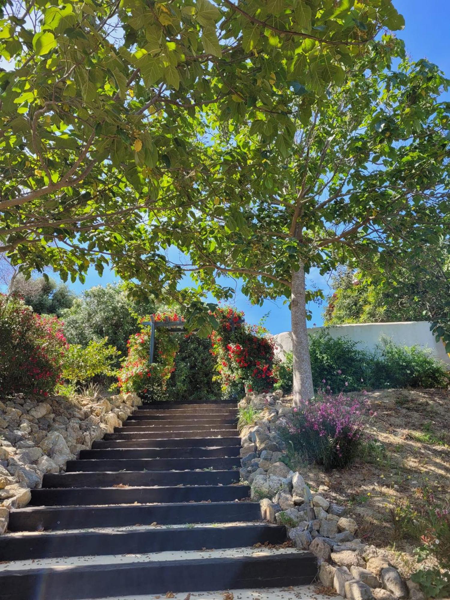 Hotel Sindhura Vejer de la Frontera Eksteriør bilde